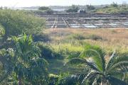 For sale &ndash; Charming villa with sea and mountain views in Tamarin
