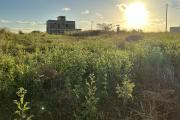 🏡 FOR SALE &ndash; EXCEPTIONAL 53-PERCH PLOT OF LAND IN MONT MASCAL
