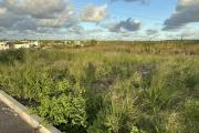 🏡 FOR SALE &ndash; EXCEPTIONAL 53-PERCH PLOT OF LAND IN MONT MASCAL