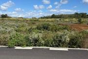 À Vendre – Terrain Résidentiel de 275 m² – Route de La Salette, aux portes de Grand Baie